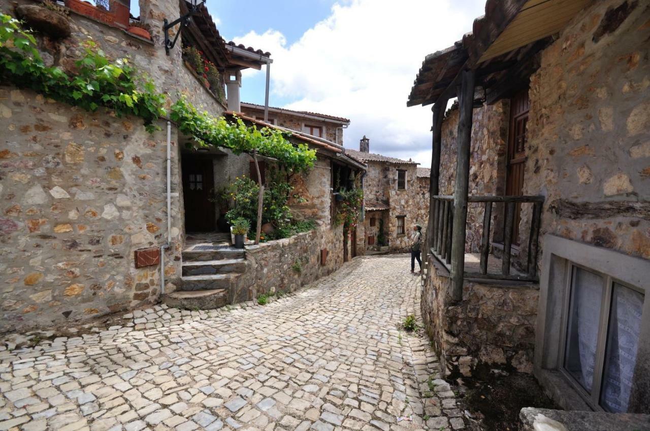 Casa Do Olival Βίλα Figueiro Dos Vinhos Εξωτερικό φωτογραφία