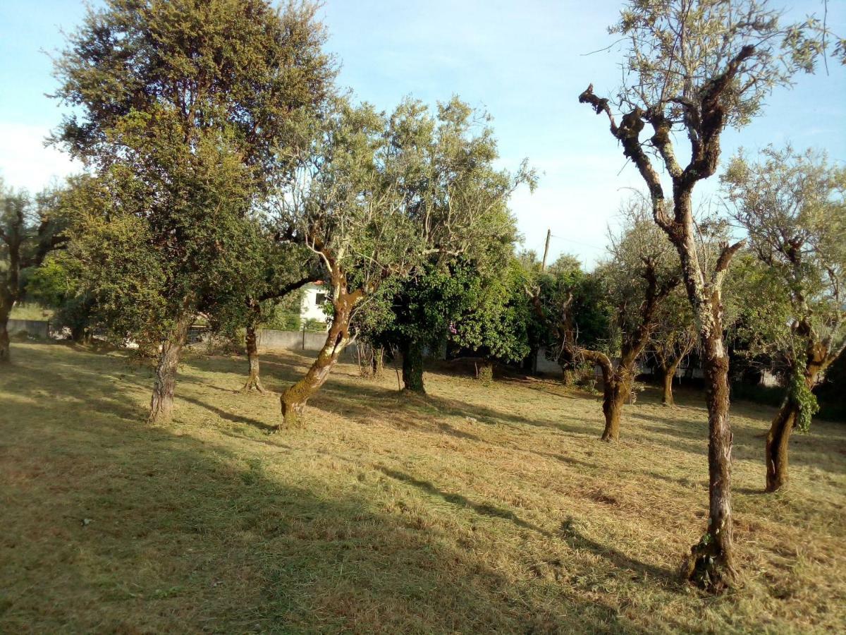 Casa Do Olival Βίλα Figueiro Dos Vinhos Εξωτερικό φωτογραφία