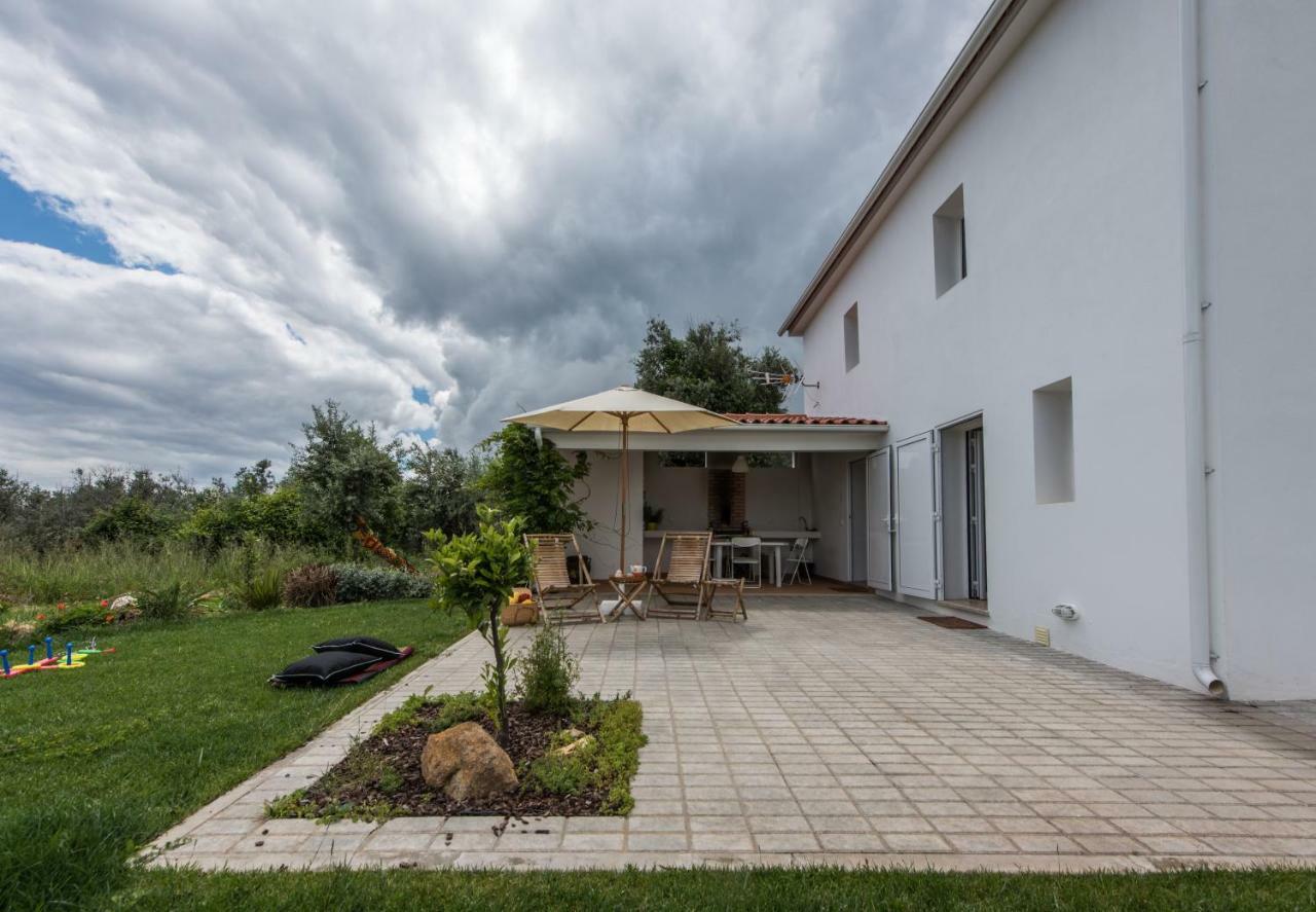 Casa Do Olival Βίλα Figueiro Dos Vinhos Εξωτερικό φωτογραφία