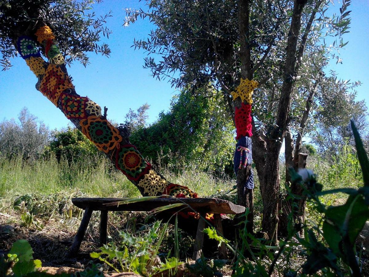 Casa Do Olival Βίλα Figueiro Dos Vinhos Εξωτερικό φωτογραφία